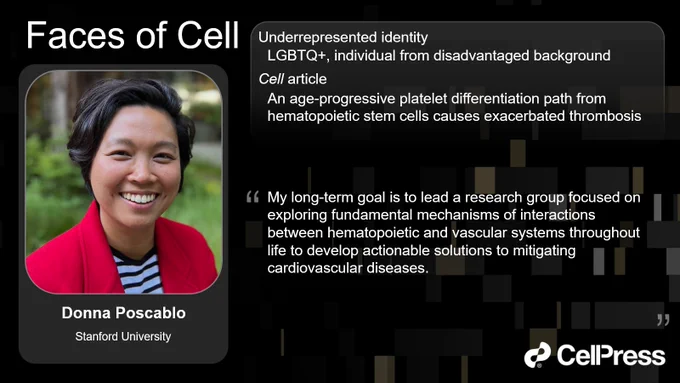 My long-term goal is to lead a research group focused on exploring fundamental mechanisms of interactions between hematopoietic and vascular systems throughout life to develop actionable solutions to mitigating cardiovascular diseases.