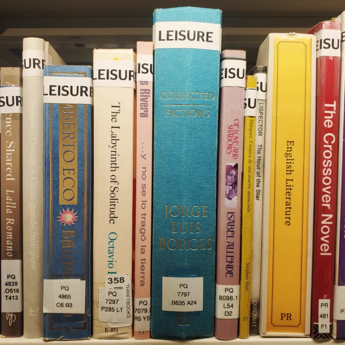 Photo of books on the Leisure collection shelf.