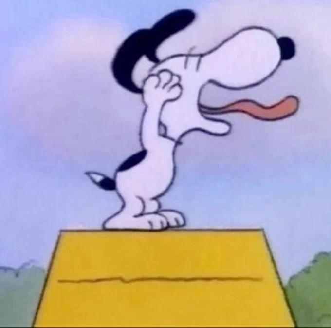 snoopy on his dog house sticking his tongue out