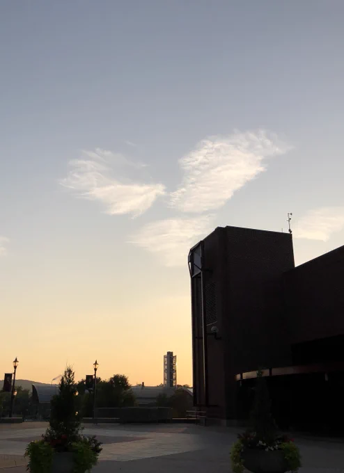 view (walking back to my car at end of workday) of softly gradiented sunset sky above large building (icerink) with wispy cloud formation almost in the shape of a winged bird