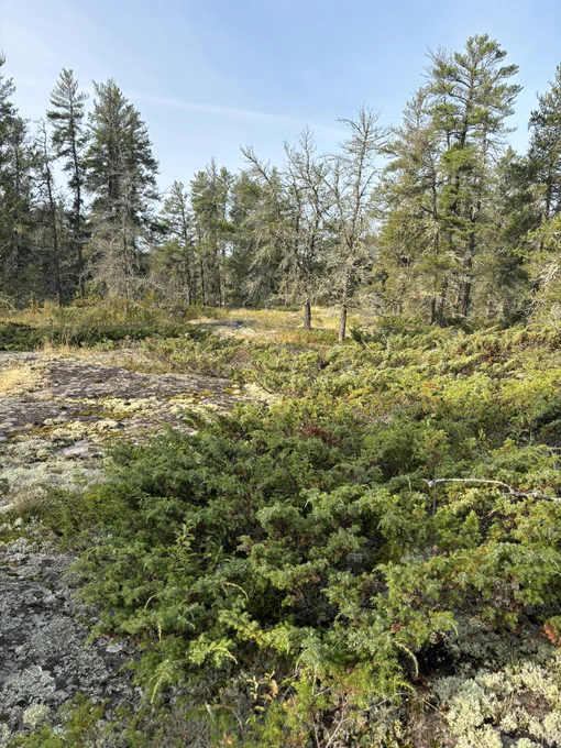 Canadian Shield 3