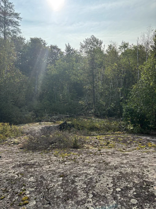 Canadian Shield 1