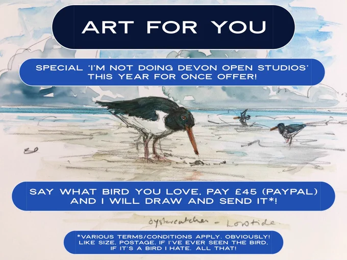 A poster saying ‘art for you, special ‘I’m not doing Devon open studios’ this year for once offer
Say what bird you love, pay £45 and I will send it to you.  Various  terms and conditions apply.