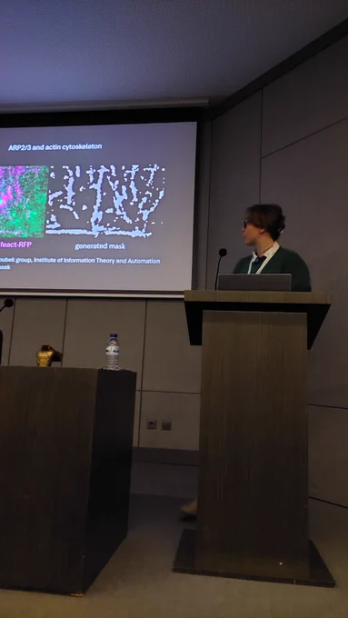 Barbora Jelínková speaks on @ENPER2024 about colocalization of ARP2/3 with actin.
