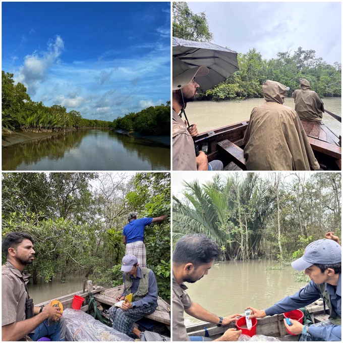 Photo credit: Sundarbans Finfoot Research Project
