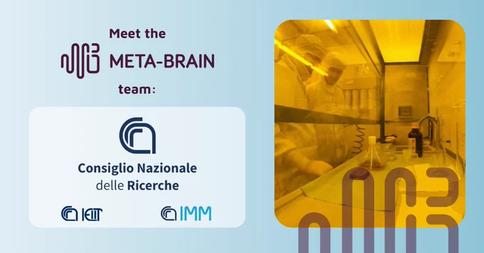 Nanoelectronics, Advanced Materials Fabrication, and Bio-Electromagnetism Simulations: CNR’s Contributions to Tackling Neurological Disorders