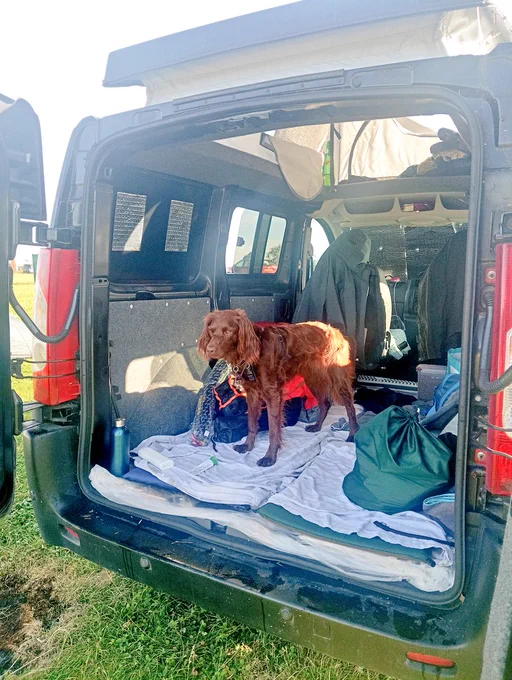 Primitive van conversion   dog