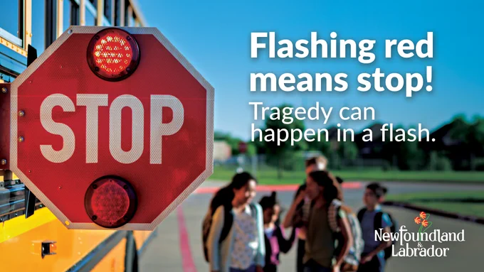 a photo of a school bus stopped with the stop sign extended and the text is flashing red means stop - tragedy can happen in a flash.