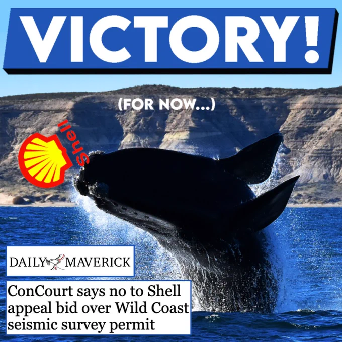 Image of a whale knocking Shell's logo out