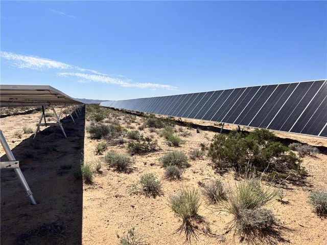 Solar panels with vegetation around it and blue sky in the background