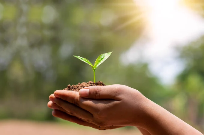 Close-up of a pair of child’s hands gently holding a small pile of soil with a young green plant shoot emerging from it. The background is blurred with a soft focus, featuring greenery and sunlight filtering through, symbolizing growth, care, and environmental awareness.