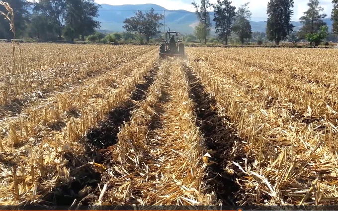 La labranza vertical, basada en el uso del subsuelo permite romper mediante fracturación hidraulica la compactación superficial del suelo, sin "voltearlo", favoreciendo la infiltración  a las capas mas profundas y atendiendo uno delos paradigamas respecto ala compactación con sistemas de agricultura de conservación.

Para implementarla con exito es necesario, tomar en cuanta variabkes como la textura, la profunidad efectiva del suelo, la "dureza" o resistencia a la penetración del suelo, la velocidad de infiltración actual y la presencia de "piso de rastra" o "piso de arado". 

Esta practica tambien favorece el proceso de drenaje en las parcelas con exceso de humedad, y en general el uso de camas permanentes a demostrado un mejor desarrollo y mayor productividad en los sistemas de producción tanto en riego pero tambien en temporal, gracias a la mejor dinamica de la humedad, aprovechando la capacidad de "minar" de los suelos mas pesados. 