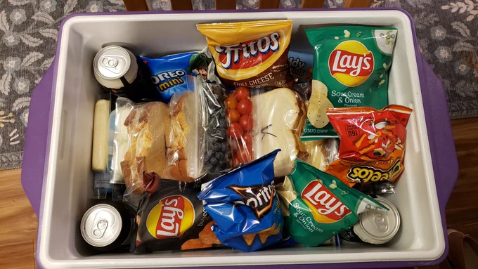 A cooler filled with food; 4 sandwiches, various individual bags of chips, cheese sticks, blueberries, tomatoes, carrots, cookies, and sodas.