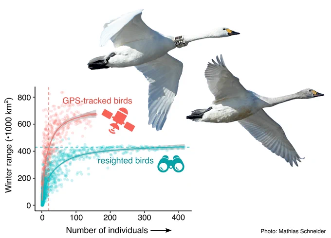 Graphical abstract for Linssen et al. (2024).