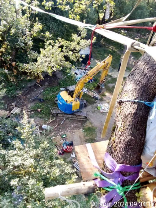 Intervention militaire à la cal'arbre