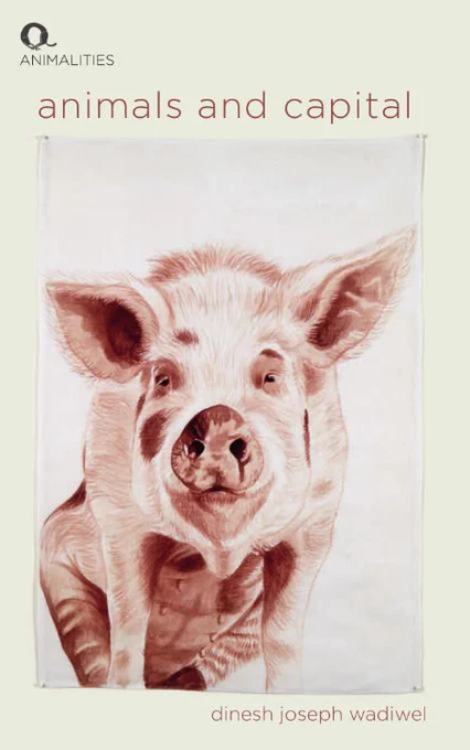 image of book: animals and capital, dinesh joseph wadiwel, illustrated picture of pig