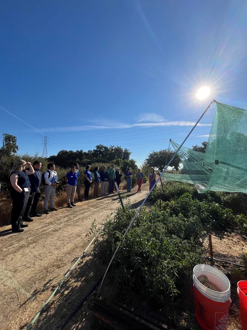 A group of individuals listening to a speaker outdoors, standing on a dirt path next to vegetation and under a bright sun.