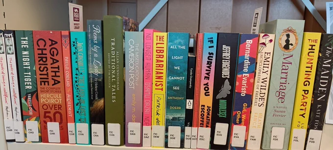 Close up of fiction collection shelf
