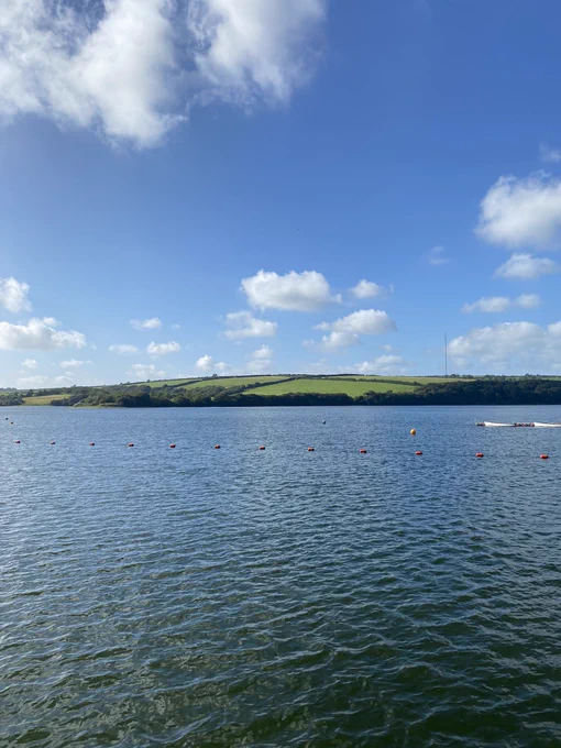 Blue skies and white clouds over the clear blue water in Llys-y-Frân lake. There are green fields behind the water.