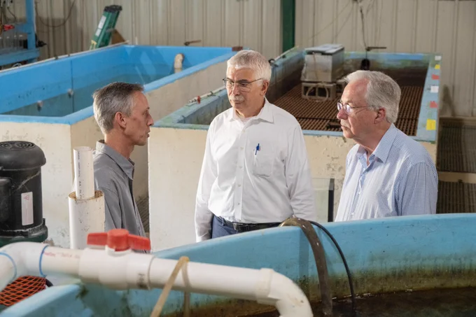 Pictured from left, Peter Allen, Robert Bertram, and Daniel Gustafson at the MAFES H.H. Leveck Animal Research Center Aquaculture Facility. (Photo by Tom Thompson)