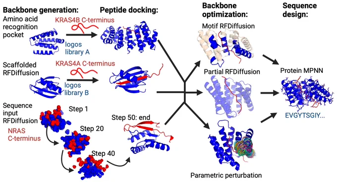 Design pipeline for making Ras isoform binders.