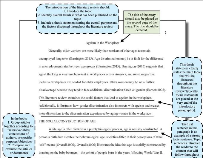 screenshot of sample lit review "agism in the workplace" 