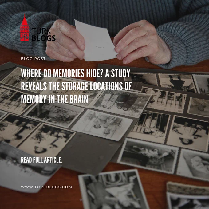 Where Do Memories Hide? A Study Reveals the Storage Locations of Memory in the Brain