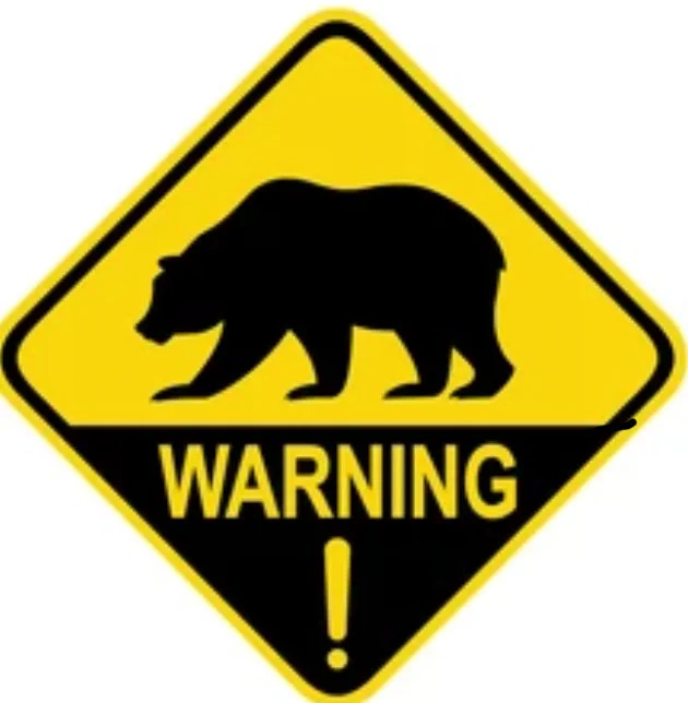 Bear spotted on campus