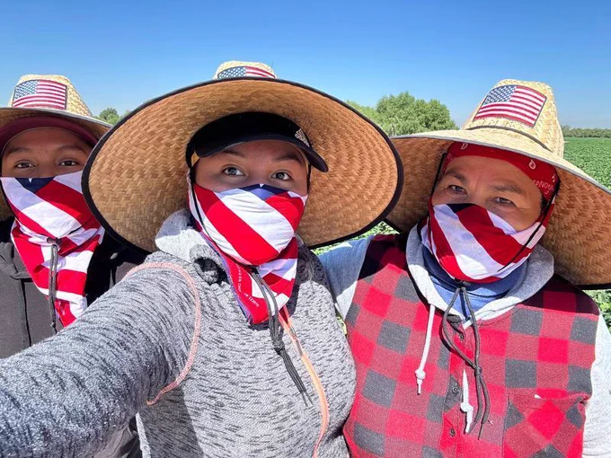 3 farm worker woman standing together at the edge of a sweet potato field wearing hats and US flag bandanas