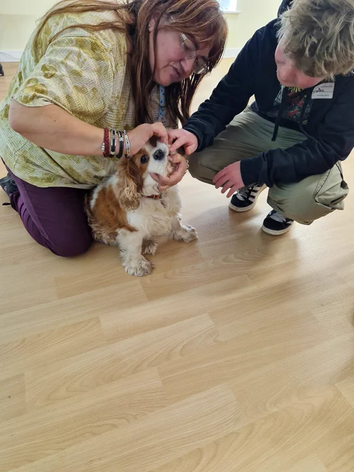 Last week, we partnered with Lofty Heights Skills Academy to host NEET students at CCOAS. Our tutor, Sol, led a session on basic animal care, including first aid and hands-on activities like CPR and health checks on Sol's dogs. 