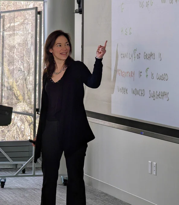 Visiting Fellow Maria Chudnovsky
