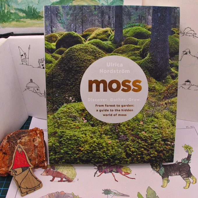 cover of the book "moss" with some merlies' doodles in the background