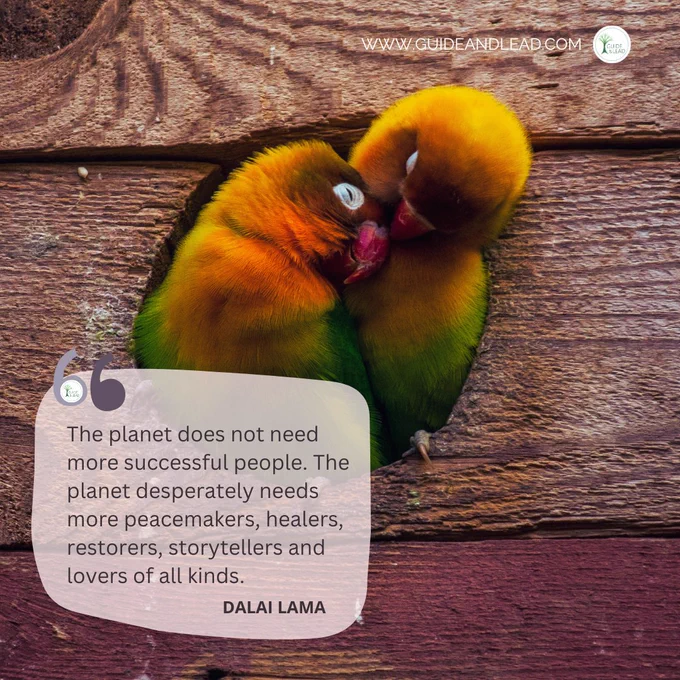A picture of two cuddling young parrots and the quote of Dalai Lama: "The planet does not need more successful people. The planet desperately needs more peacemakers, healers, restorers, storytellers and lovers of all kinds.