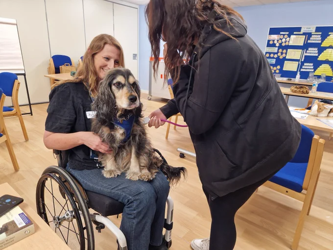 Last week, we partnered with Lofty Heights Skills Academy to host NEET students at CCOAS. Our tutor, Sol, led a session on basic animal care, including first aid and hands-on activities like CPR and health checks on Sol's dogs. 