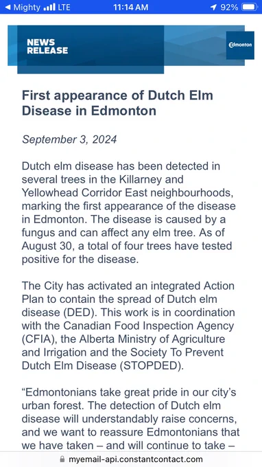 Ditch elm disease in Edmonton