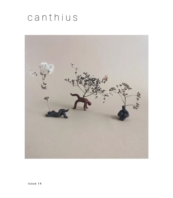 The cover of Issue 14 of Canthius. Features art by Naz Rahbar.