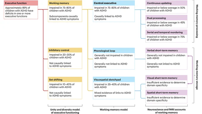 This is figure 1, which shows a conceptual model of executive function components and working memory subprocesses.
