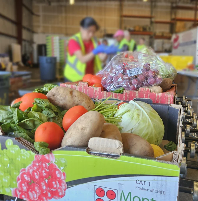 Boxes full of fruits and vegetables on conveyer belt in warehouse