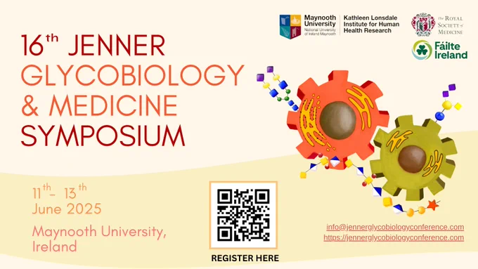 Poster for 16th Jenner Glycobiology and Medicine Symposium to be held in Maynooth University, Ireland from 11th to 13th June 2025, registration and abstract submission now open