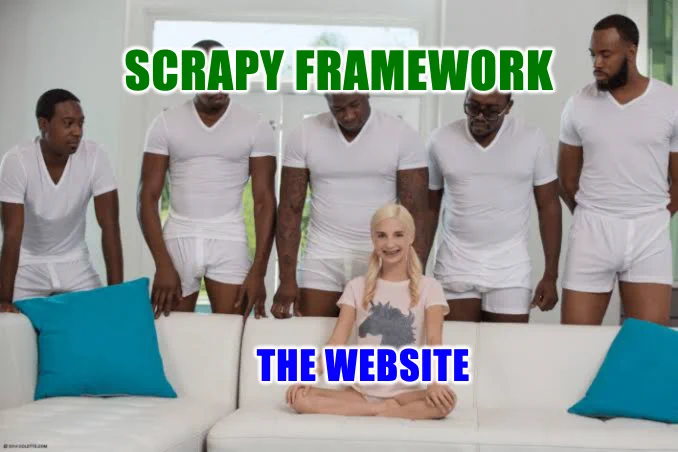 SCRAPY FRAMEWORK MEME