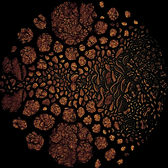 scatter plot. inferno colormap. looks organic.