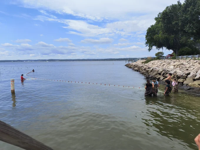 Students in waders hold a seine net in shallow water near a rock jetty