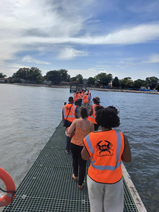 A group of students wearing reflective CBL Research Staff vests walk down a pier over shallow water