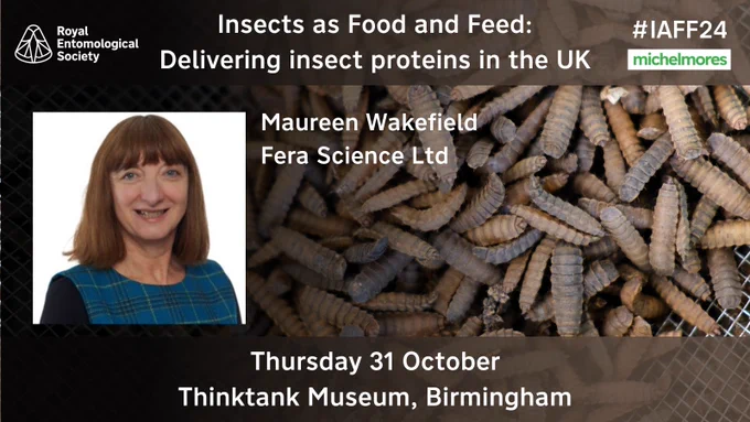Dr Maureen Wakefield, Principal Scientist. With a background in applied entomology her current research interests focus on insect bioconversion and the use of insects for food, feed and waste reduction purposes.