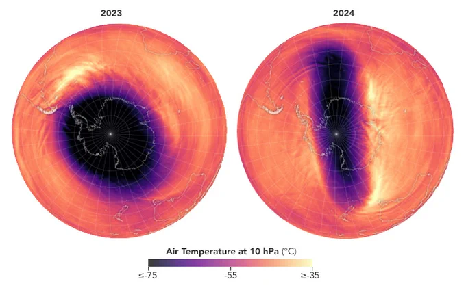 Graphic showing the air temperature in the stratosphere over Antarctica. There are two globes focused on the South Pole. The one on the left is for August 2023. There is a roughly circular shape of black ringed in purple, indicating temperatures around minus 75 degrees Celsius. The surrounding area is orange and yellow, indicating temperatures around minus 55 to minus 35 degrees Fahrenheit. The one on the right is for August 2024 and has a long, thin black and purple area in the center, illustrating how the polar vortex weakened and elongated.