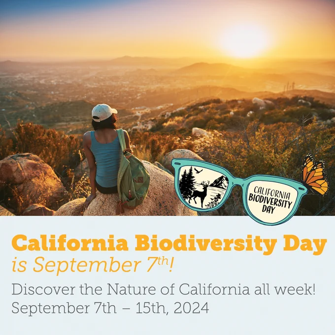 A woman sitting on a rock with a view over a desert canyon above graphic text saying: "California Biodiversity Day is September 7th! Discover the Nature of California all week! September 7th - 15th, 2024"