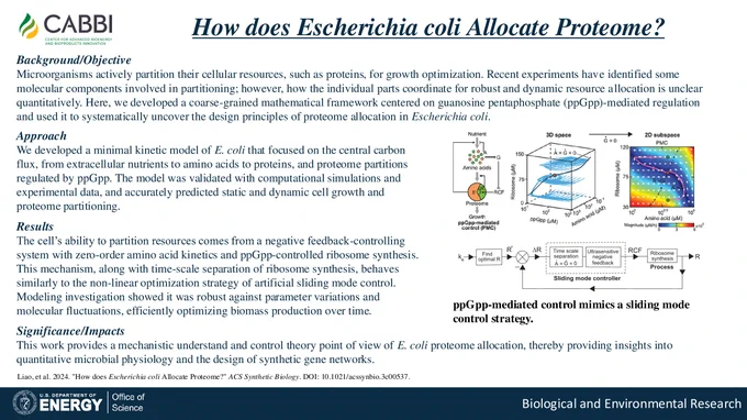 CABBI DOE science slide for the study, "How does Escherichia coli Allocate Proteome?"