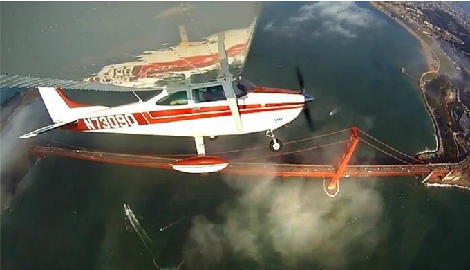 We fly at-risk animals to safety.
