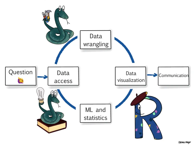 a diagram that shows a bix containing "question" entering on the left, then a circle of boxes containing "data access", "ML and stats", "data wrangling" and "data visualisation" with an image of a snake by data access and data wrangling. There is an image of the letter R with a beret on next to data visualisation. A box which says "Communication" comes out the right habd side of the diagram 