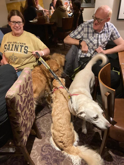 Dogs covering the floor in a pub 